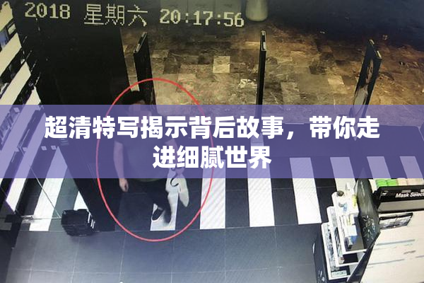 超清特写揭示背后故事，带你走进细腻世界