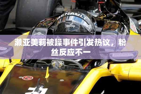 濑亚美莉被躁事件引发热议，粉丝反应不一