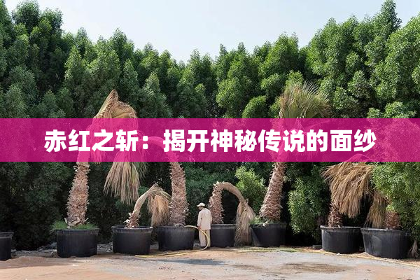 赤红之斩：揭开神秘传说的面纱