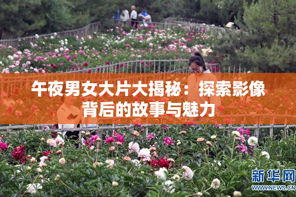 午夜男女大片大揭秘：探索影像背后的故事与魅力