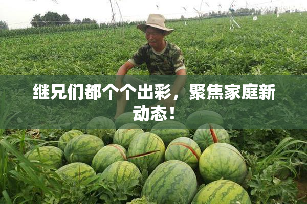 继兄们都个个出彩，聚焦家庭新动态！