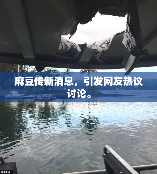 麻豆传新消息，引发网友热议讨论。