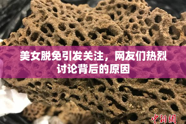 美女脱免引发关注，网友们热烈讨论背后的原因