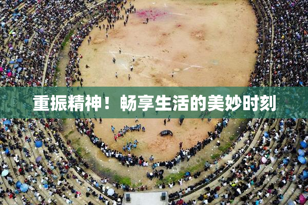 重振精神！畅享生活的美妙时刻