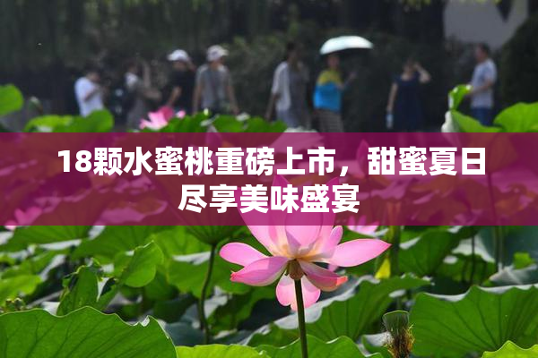 18颗水蜜桃重磅上市，甜蜜夏日尽享美味盛宴