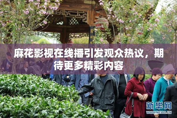 麻花影视在线播引发观众热议，期待更多精彩内容