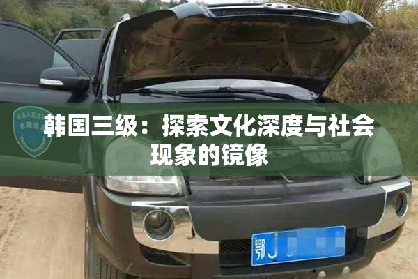 韩国三级：探索文化深度与社会现象的镜像