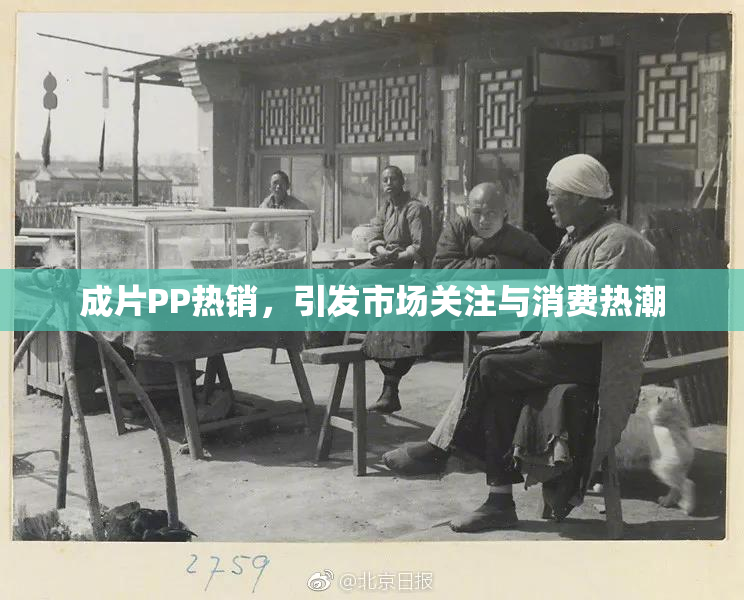 成片PP热销，引发市场关注与消费热潮
