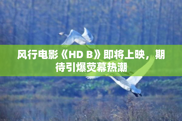 风行电影《HD B》即将上映，期待引爆荧幕热潮