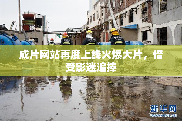 成片网站再度上线火爆大片，倍受影迷追捧