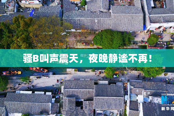 骚B叫声震天，夜晚静谧不再！