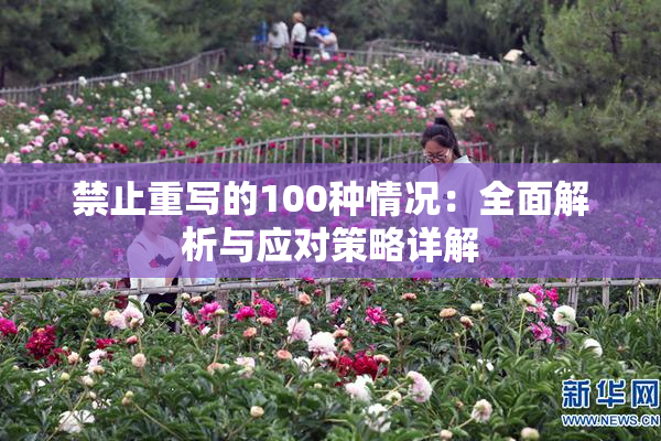 禁止重写的100种情况：全面解析与应对策略详解