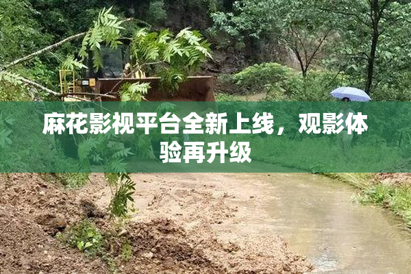 麻花影视平台全新上线，观影体验再升级