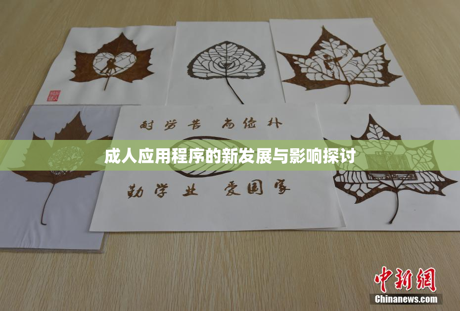 成人应用程序的新发展与影响探讨