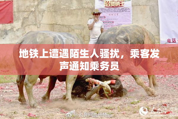 地铁上遭遇陌生人骚扰，乘客发声通知乘务员