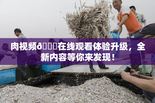 肉视频🔞在线观看体验升级，全新内容等你来发现！