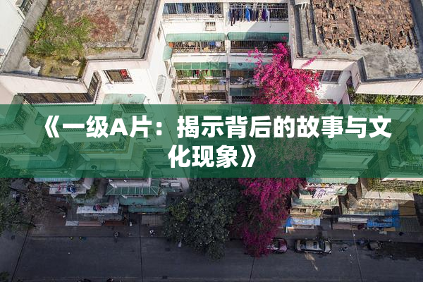 《一级A片：揭示背后的故事与文化现象》
