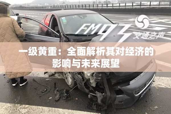 一级黄重：全面解析其对经济的影响与未来展望