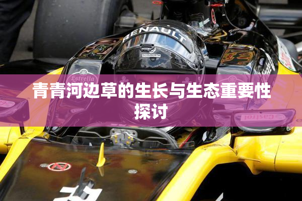 青青河边草的生长与生态重要性探讨