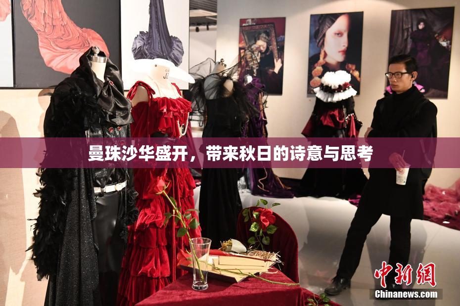 曼珠沙华盛开，带来秋日的诗意与思考