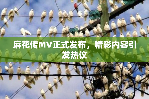 麻花传MV正式发布，精彩内容引发热议