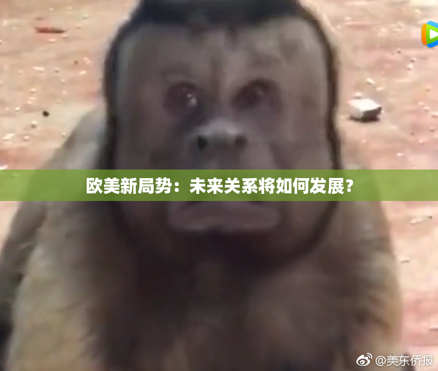 欧美新局势：未来关系将如何发展？