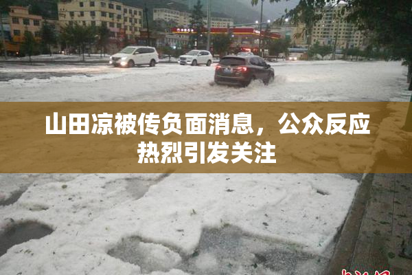 山田凉被传负面消息，公众反应热烈引发关注