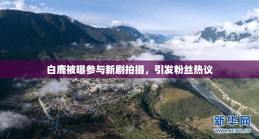 白鹿被曝参与新剧拍摄，引发粉丝热议