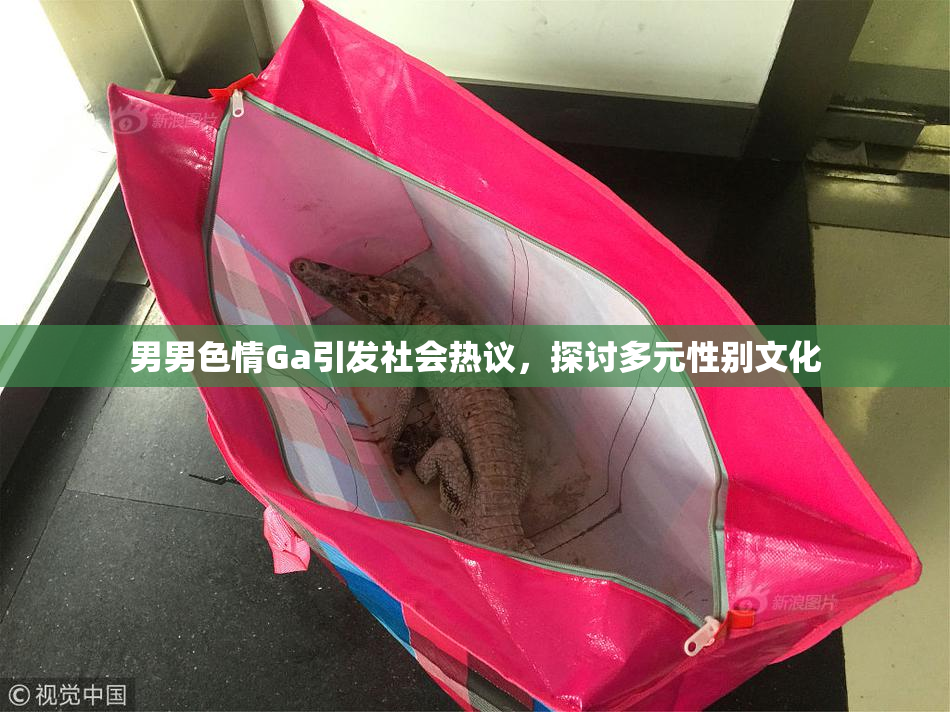 男男色情Ga引发社会热议，探讨多元性别文化