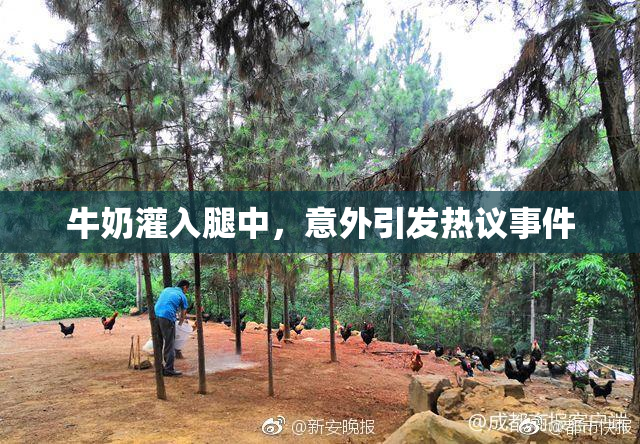 牛奶灌入腿中，意外引发热议事件