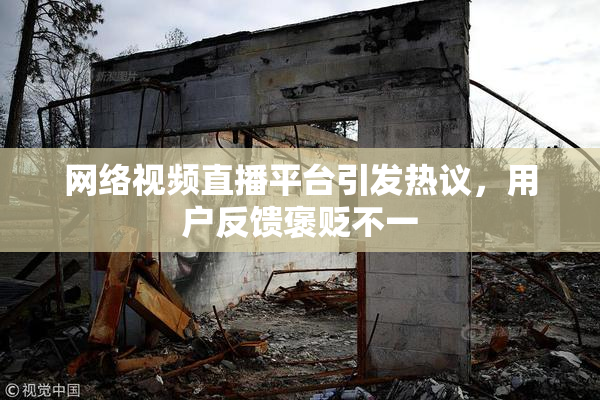 网络视频直播平台引发热议，用户反馈褒贬不一