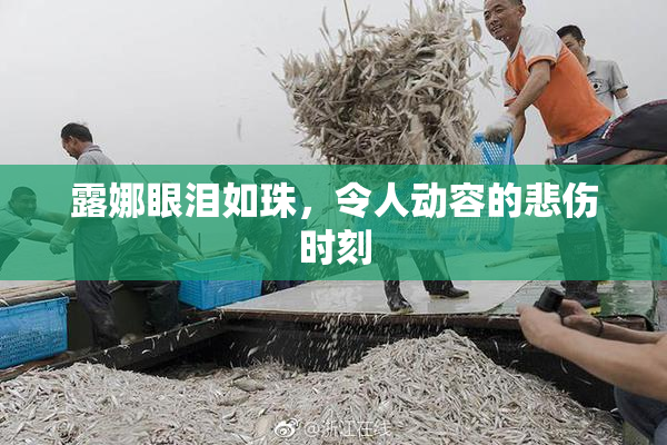 露娜眼泪如珠，令人动容的悲伤时刻