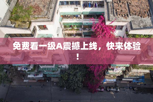 免费看一级A震撼上线，快来体验！