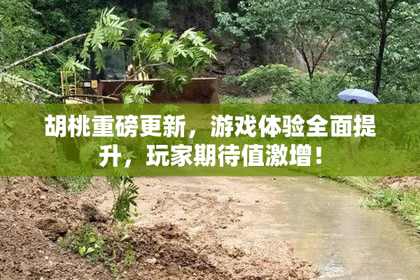 胡桃重磅更新，游戏体验全面提升，玩家期待值激增！