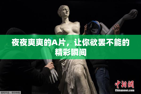 夜夜爽爽的A片，让你欲罢不能的精彩瞬间