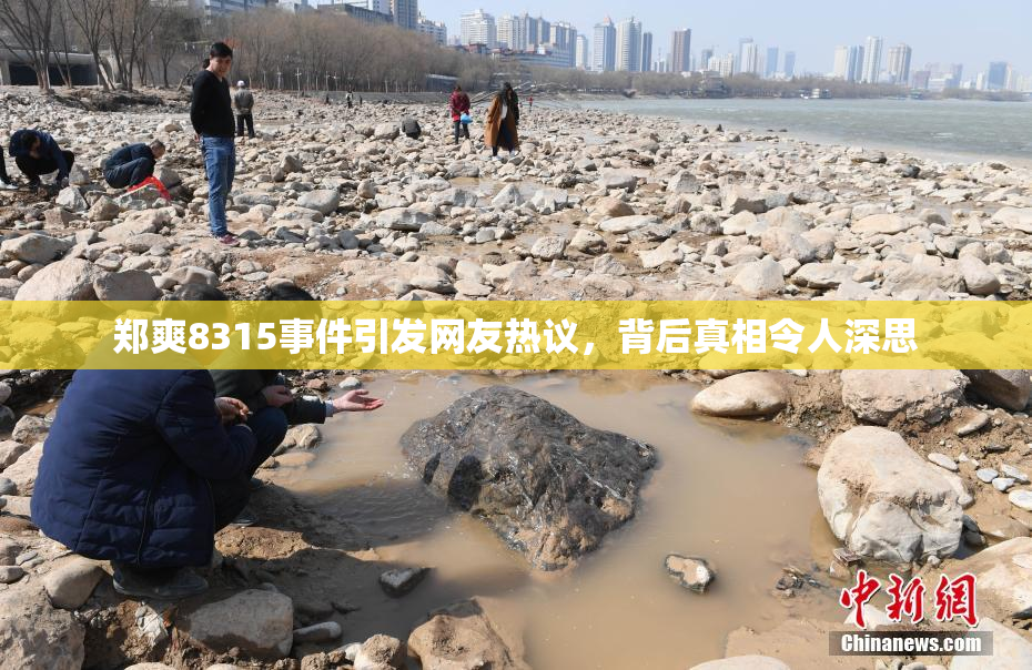 郑爽8315事件引发网友热议，背后真相令人深思