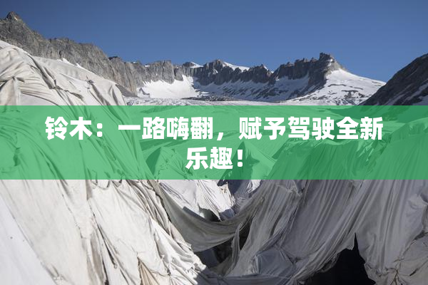 铃木：一路嗨翻，赋予驾驶全新乐趣！