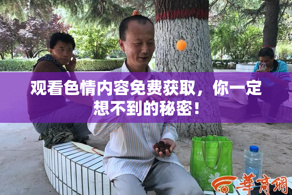 观看色情内容免费获取，你一定想不到的秘密！