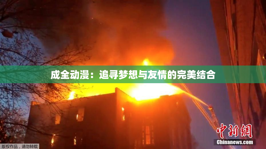 成全动漫：追寻梦想与友情的完美结合