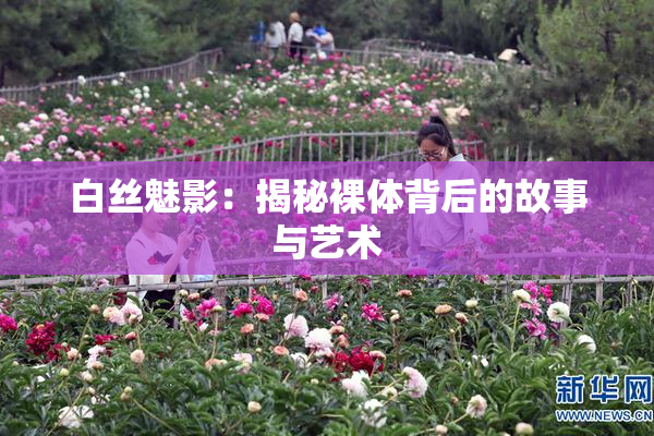 白丝魅影：揭秘裸体背后的故事与艺术