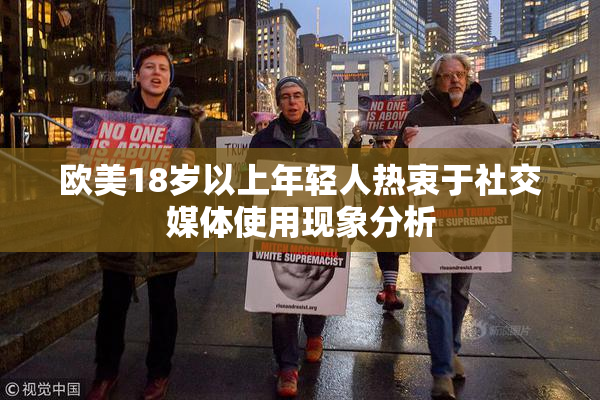欧美18岁以上年轻人热衷于社交媒体使用现象分析