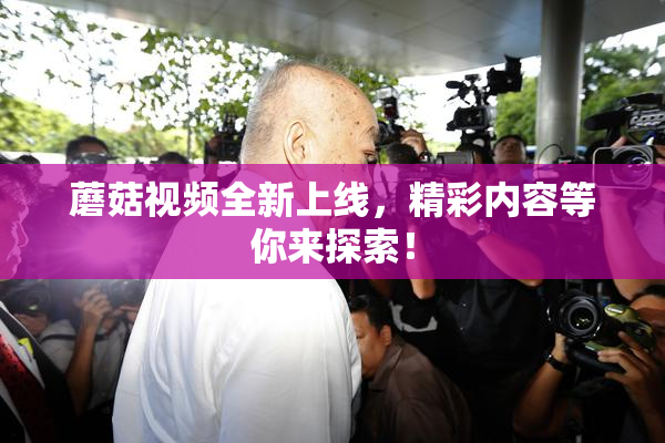 蘑菇视频全新上线，精彩内容等你来探索！