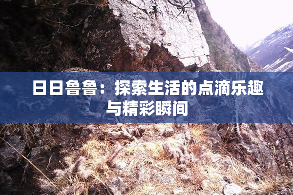 日日鲁鲁：探索生活的点滴乐趣与精彩瞬间
