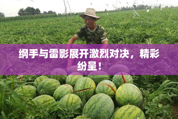 纲手与雷影展开激烈对决，精彩纷呈！