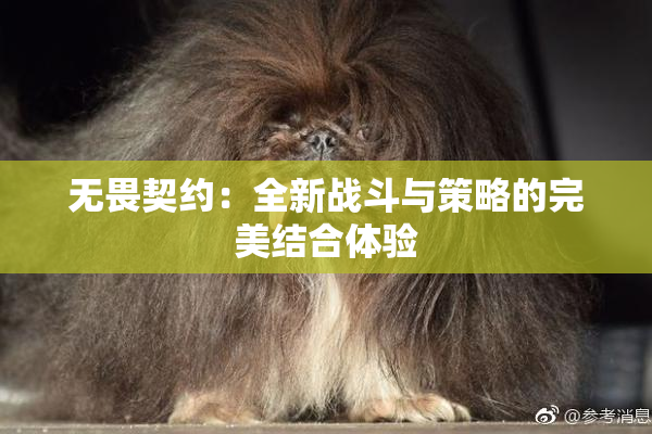 无畏契约：全新战斗与策略的完美结合体验