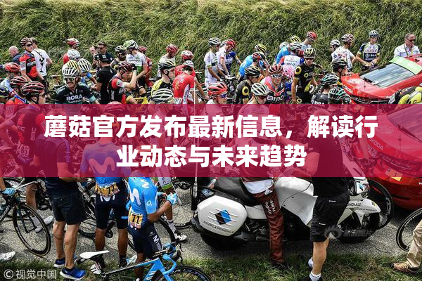 蘑菇官方发布最新信息，解读行业动态与未来趋势