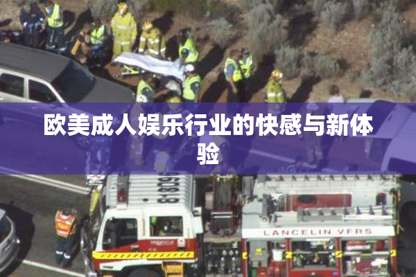 欧美成人娱乐行业的快感与新体验
