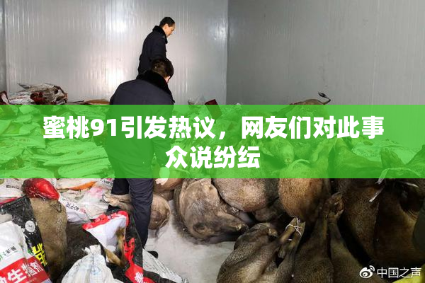 蜜桃91引发热议，网友们对此事众说纷纭