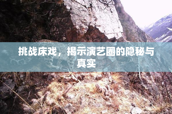 挑战床戏，揭示演艺圈的隐秘与真实