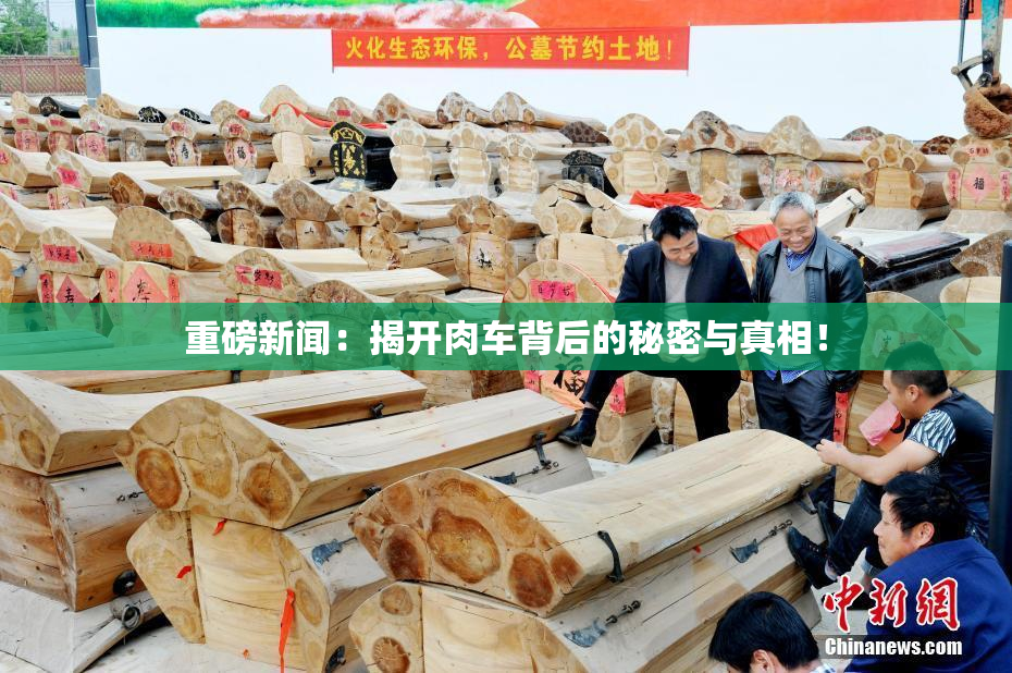 重磅新闻：揭开肉车背后的秘密与真相！